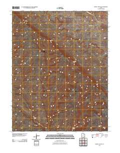 2011 Map of Basin Canyon, 2011 Print