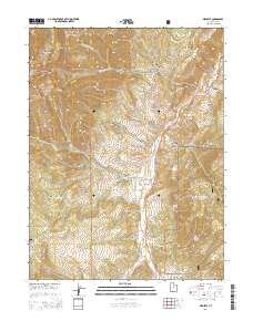 2014 Map of Birdseye, 2014 Print