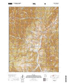 2020 Map of Birdseye, 2020 Print