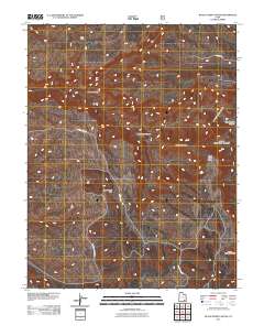 2011 Map of Black Steer Canyon, 2011 Print