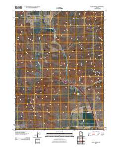 2011 Map of Blind Springs, 2011 Print