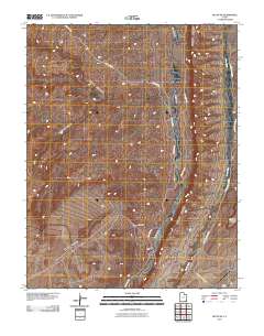 2010 Map of Bluff SW, 2010 Print