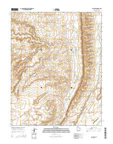 2014 Map of Bluff SW, 2014 Print