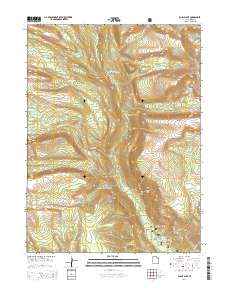 2014 Map of Bollie Lake, 2014 Print