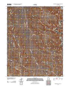 2010 Map of Bradford Canyon, 2010 Print