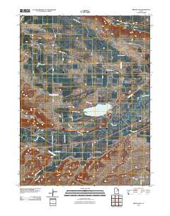 2011 Map of Bridgeland, 2011 Print