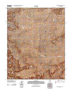 2011 Map of Bridger Point, 2011 Print