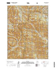 2020 Map of Brighton, 2020 Print
