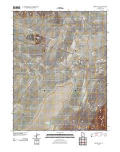 2010 Map of Brown Knoll, 2010 Print
