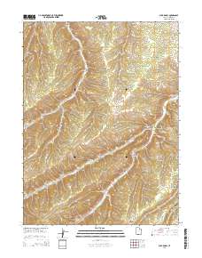 2014 Map of Buck Knoll, 2014 Print
