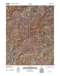 2011 Map of Bug Canyon, 2011 Print
