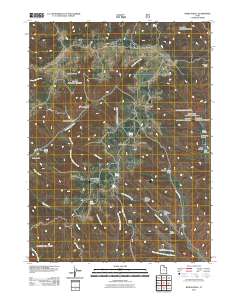 2011 Map of Bybee Knoll, 2011 Print