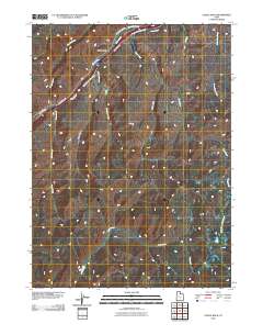 2010 Map of Castle Rock, 2010 Print