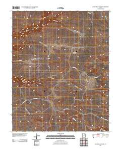 2011 Map of Cedar Mesa North, 2011 Print