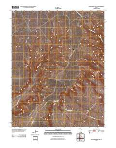 2010 Map of Cedar Mesa South, 2010 Print