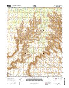 2014 Map of Cedar Mesa South, 2014 Print
