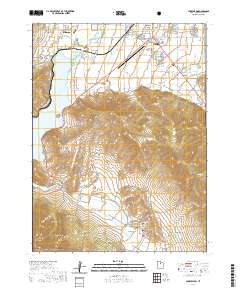 2020 Map of Charleston, 2020 Print