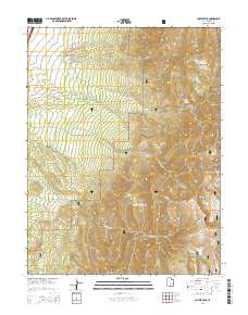 2014 Map of Coffee Peak, 2014 Print