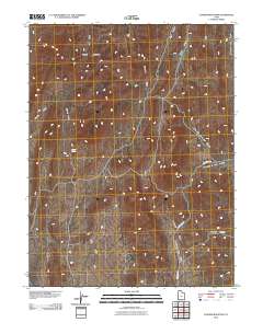 2010 Map of Conger Mountain, 2010 Print