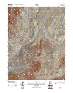 2011 Map of Cruz, 2011 Print