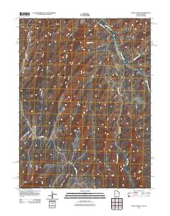 2011 Map of Davis Canyon, 2011 Print