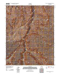 2011 Map of Deep Canyon South, 2011 Print