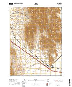 2020 Map of Delle, 2020 Print
