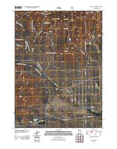 2011 Map of Dennis Hill, 2011 Print