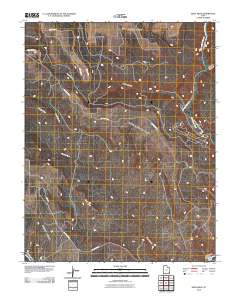 2010 Map of Devil Mesa, 2010 Print