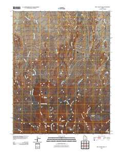 2010 Map of Dry Lakes Peak, 2010 Print