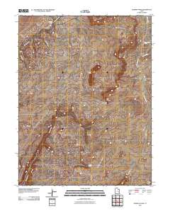 2010 Map of Dubinky Wash, 2010 Print
