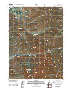 2011 Map of Durst Mountain, 2011 Print