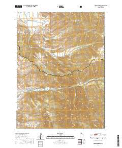 2020 Map of Durst Mountain, 2020 Print