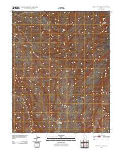 2011 Map of East of the Navajo, 2011 Print