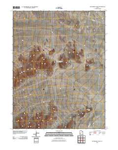 2010 Map of Fifteenmile Point, 2010 Print