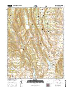 2014 Map of Forsyth Reservoir, 2014 Print