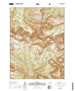 2020 Map of Fox Lake, 2020 Print