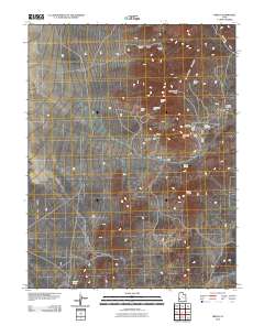 2010 Map of Frisco, 2010 Print