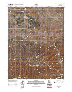 2010 Map of Fruitland, 2010 Print