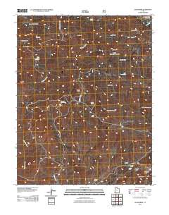 2011 Map of Goldstrike, 2011 Print
