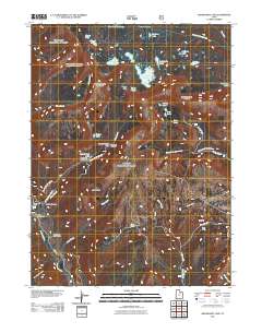 2011 Map of Grandaddy Lake, 2011 Print