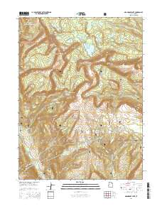 2014 Map of Grandaddy Lake, 2014 Print