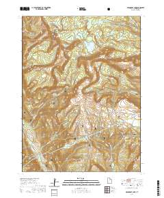 2020 Map of Grandaddy Lake, 2020 Print