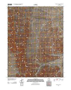 2010 Map of Grassy Cove, 2010 Print