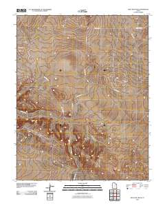2010 Map of Gray Spot Rock, 2010 Print