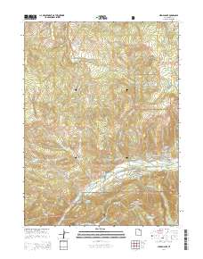 2014 Map of Hidden Lake, 2014 Print