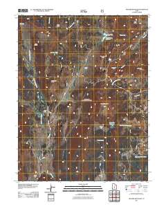 2011 Map of Hilgard Mountain, 2011 Print