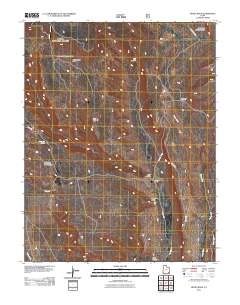 2011 Map of Hotel Rock, 2011 Print