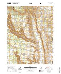 2020 Map of Hotel Rock, 2020 Print