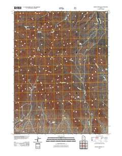 2011 Map of Indian Springs, 2011 Print